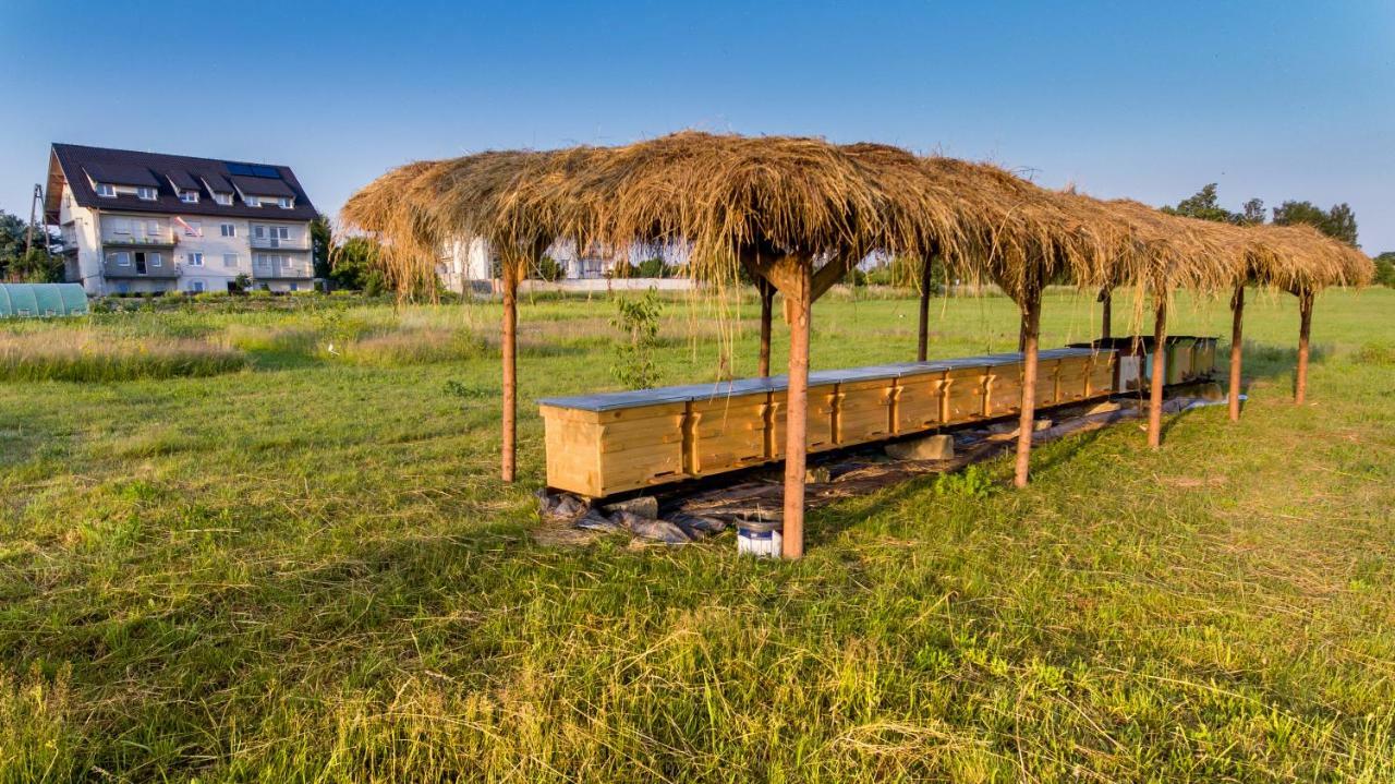 Agroturystyka Sikorki Lubomierz  Exteriör bild